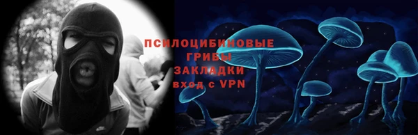 Альфа ПВП Аркадак