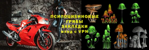 мет Арсеньев
