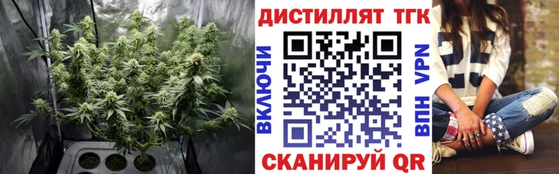 магазин  наркотиков  Харабали  mega   ТГК THC oil 