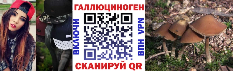 Псилоцибиновые грибы мицелий  Харабали 